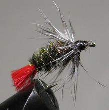 ����  Red tag  RTG 08 peacock grizzly sh � 22
